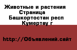  Животные и растения - Страница 14 . Башкортостан респ.,Кумертау г.